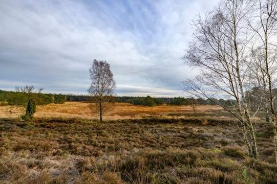 Vakantiebungalow De Schaapskooi Epe Eksteriør bilde